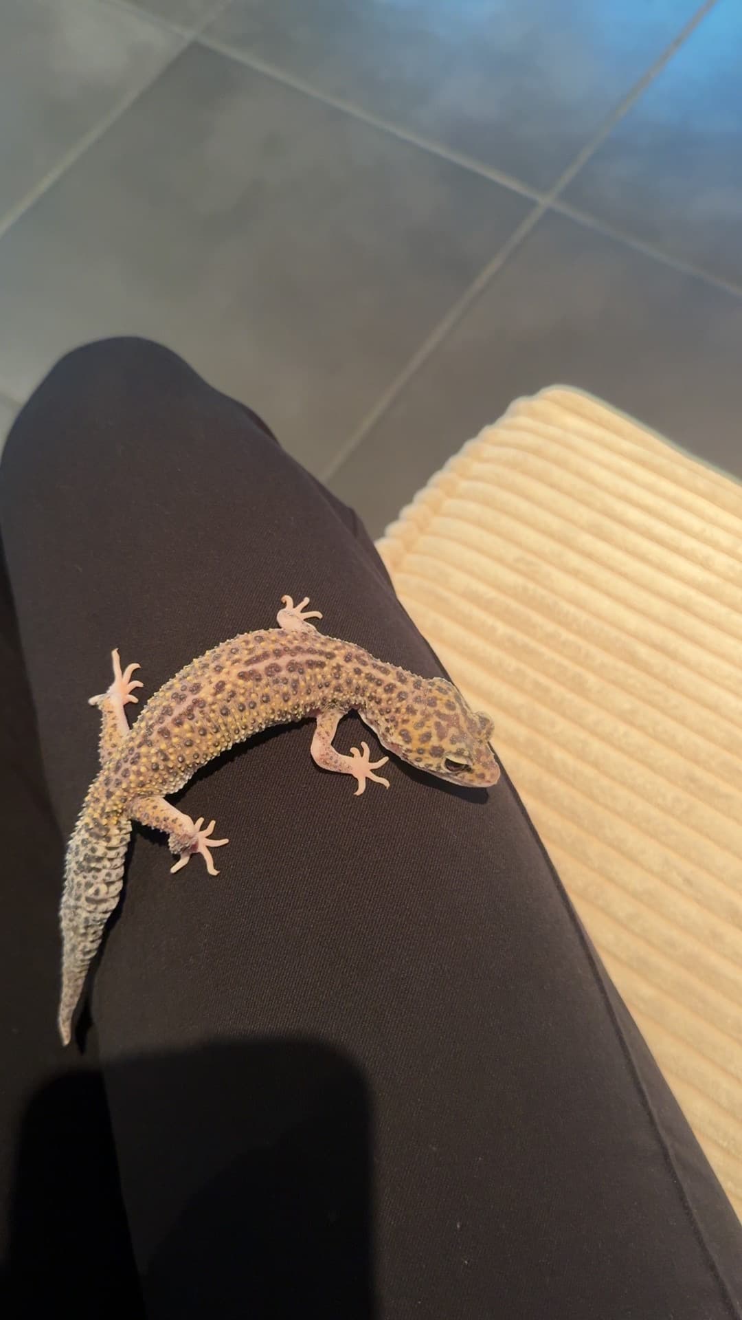 Foto von Daisy